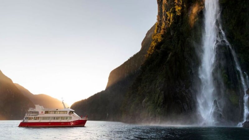 Encounter New Zealand wildlife in the breathtaking environment of Milford Sound from the comfort of Southern Discoveries modern catamaran.